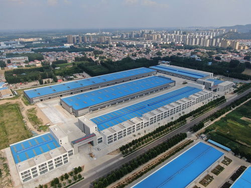 濟(jì)寧 加大外資招引力度 市縣聯(lián)動(dòng)開展好境外招商活動(dòng)