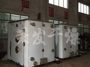 湖北宜昌食品公司與榮發干燥合作，引進恒特發薯條烘干機助力產業升級