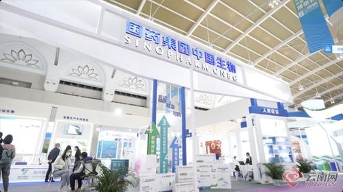 智慧引領，科技賦能 記者帶你解鎖南博會新體驗——恒特發(fā)展焦點