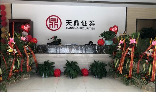 風(fēng)雨同舟，共鑒未來 天鼎證券與投資者攜手前行